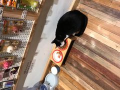 -猫的天空之城概念书店(杭州南宋御街店)