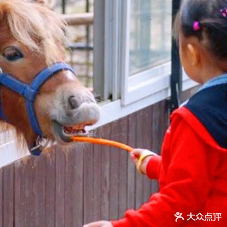 夏日里的户外好去处,尽在蓝可可