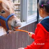 夏日里的户外好去处，尽在蓝可可