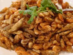 -颂福楼·南京菜(定淮门店)