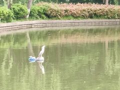-黄兴公园
