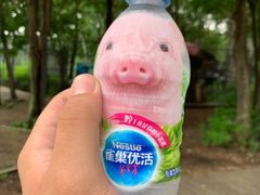 -哈尔滨北方森林动物园