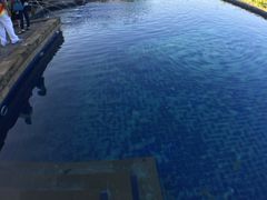 -庐州太太(双岗店)