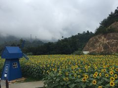 -广州市流溪河国家森林公园