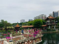 -深圳龙潭公园