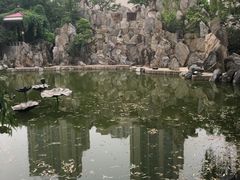 -曲江惠宾苑宾馆(大雁塔大唐不夜城店)