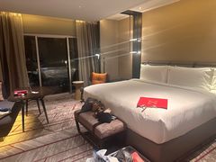 -新加坡瑞士史丹福酒店