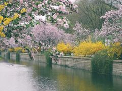 -海棠花溪(元大都城垣遗址公园)