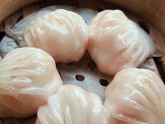 -宝塘茶楼