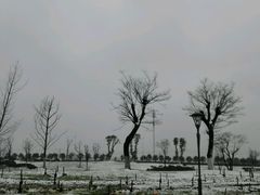 -瑶湖郊野森林公园