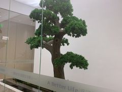-柏乐口腔医院·舒适化无痛种植牙中心(东盟商务区院)