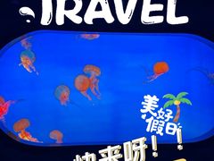 -合肥海洋世界