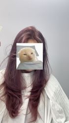 -V7 HAIR SALON烫发染发接发