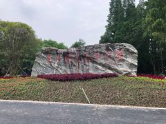 -东平国家森林公园