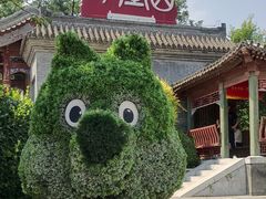 -阳台山自然风景区