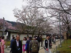 -醍醐寺