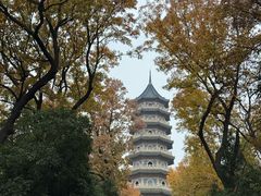 -灵谷景区