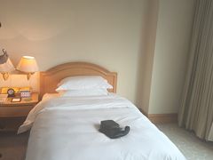 -南京维景国际大酒店(南京博物院店)