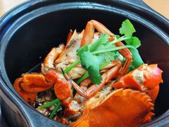 招牌香锅煎蟹-鑫鸿达·海鲜闽菜热炒小馆(中山路店)