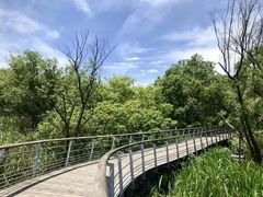 -西湖风景区-江洋畈生态公园