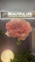 点击看大图 -花隐·美芙炫海菲秀皮肤管理中心