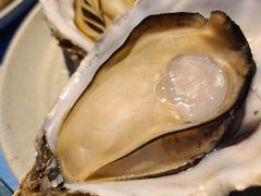 -千岛蚝高压锅生蚝·人参火锅(白云万达店)