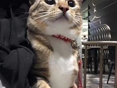 -gaga(深圳南山益田假日广场店)
