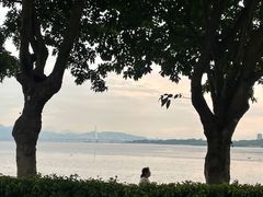 -深圳湾公园(南山区)