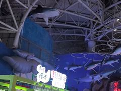 -烟台海昌鲸鲨海洋公园