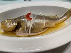 清蒸鲈鱼-湖锦酒楼·32年地道湖北菜(光谷店)