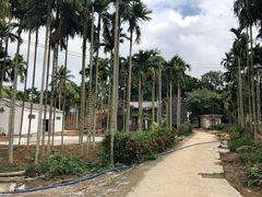 -蔡家宅