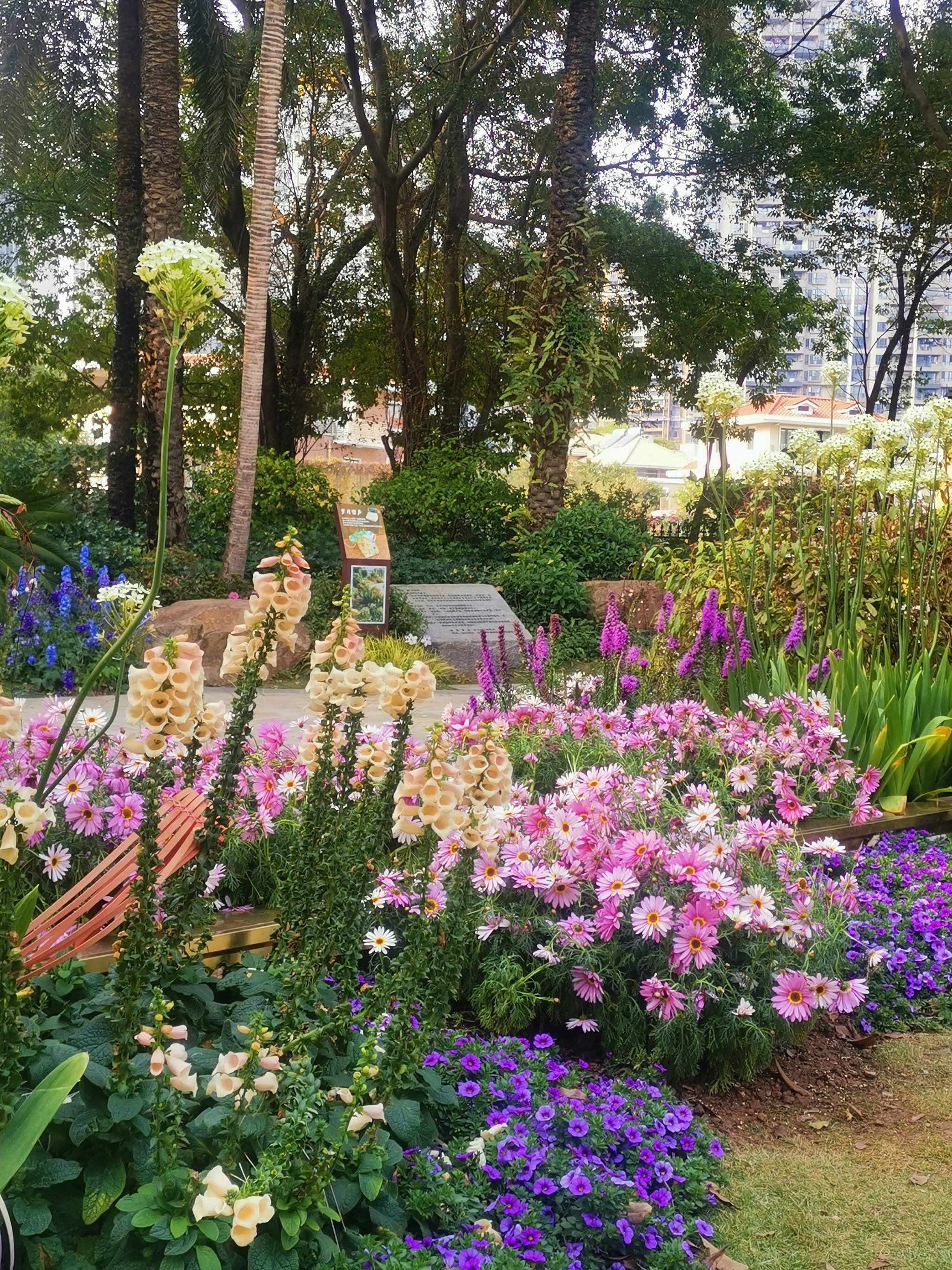 漫步花丛,心情美丽如画