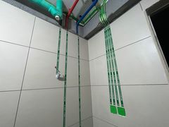 -大树装饰·十年本土家装