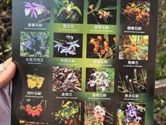 -中国科学院西双版纳热带植物园