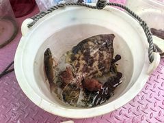 -小猫钓鱼海钓俱乐部(椰梦长廊店)