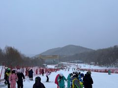 -亚布力新体委滑雪场