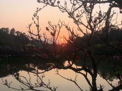 -南国桃园旅游度假区