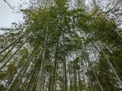 -南北湖风景区