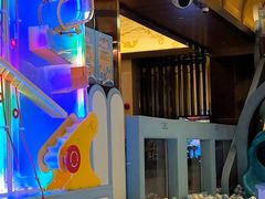 -童趣廊·儿童波波池·海洋球(长隆横琴湾酒店)