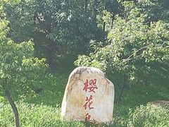 -映月湖公园