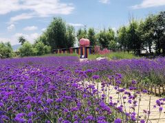 -大理无舍度假酒店