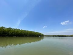 -上海海湾国家森林公园