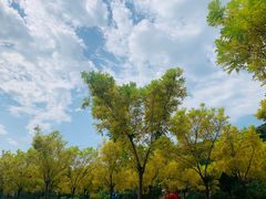-黄金寨原生态旅游区