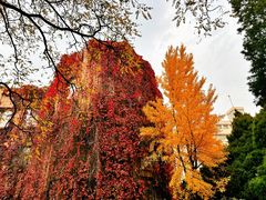 -辽宁大学(崇山校区)