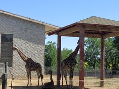 -石家庄市动物园