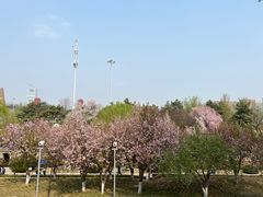 -海棠花溪(元大都城垣遗址公园)