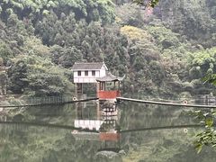 -峨眉山报国寺