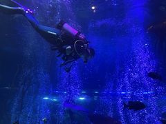 -沈阳海洋探索中心