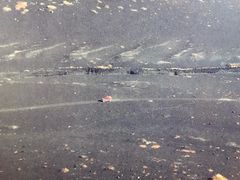 -帝京日语(春熙路旗舰校区)
