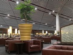 -首都机场t3-c国航两舱休息室